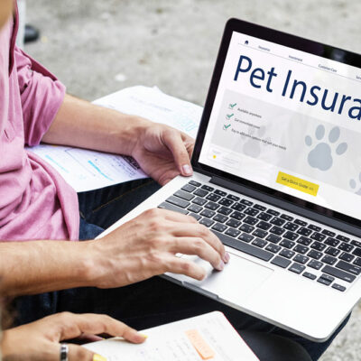 8 mistakes to avoid while buying pet insurance