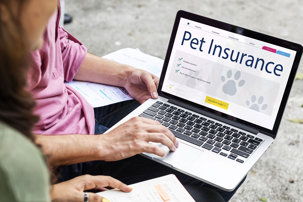 8 mistakes to avoid while buying pet insurance